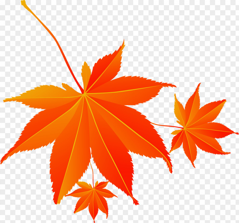 Red Autumn Maple Leaf Electricity Supplier Download Cartoon PNG