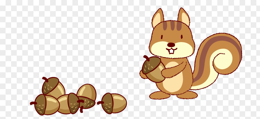 Squirrel Loves Nuts Cartoon Clip Art PNG