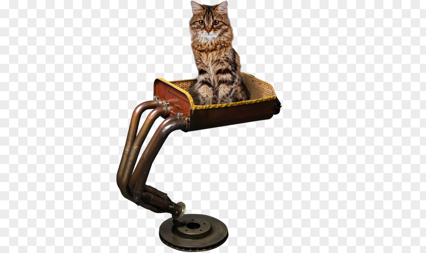 Auto Parts Furniture Cat Car Motorcycle Room PNG