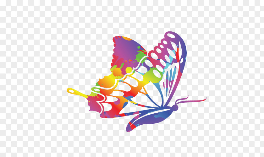 Colorful Butterfly Color Stencil Illustration PNG