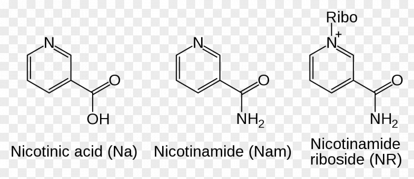 Nr Nicotinamide Adenine Dinucleotide Riboside PNG