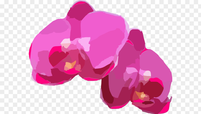 Orchids Images For Free Clip Art PNG