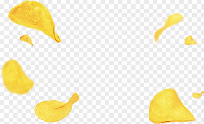 Plant Yellow Fish And Chips PNG