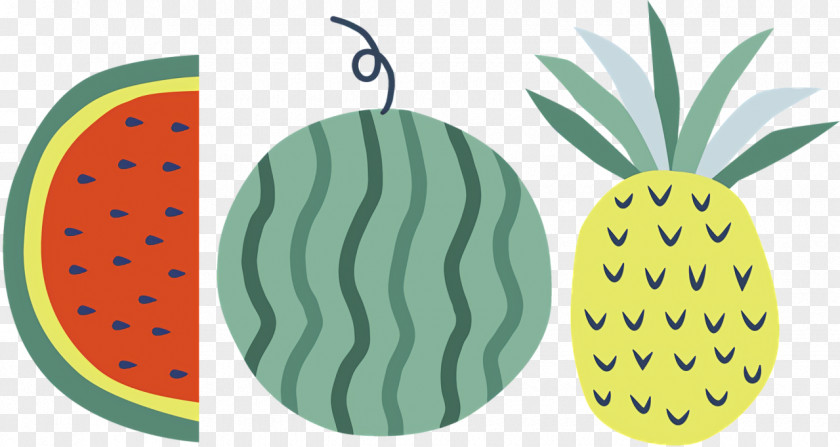 Plants Pattern Fruit Font Biology PNG