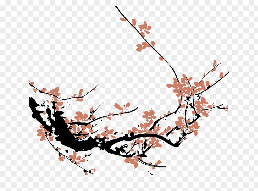 Plum Flower Blossom Drawing PNG