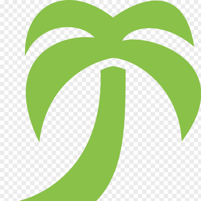 Tally Arecaceae Areca Palm PNG