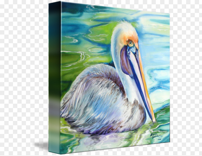 Bird Louisiana Watercolor Painting Pelican PNG