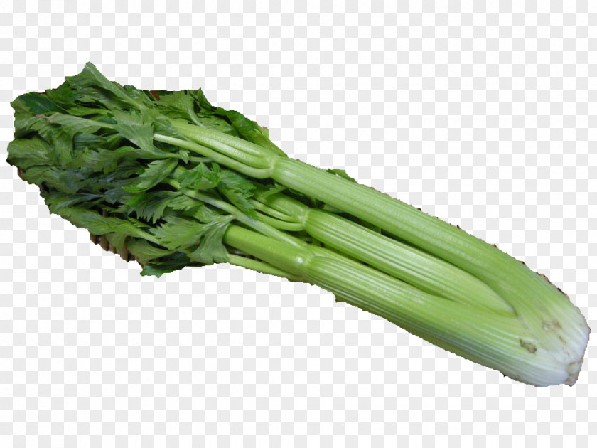 Bok Choy Fishmongers STELOY Celery Leaf Vegetable Food PNG