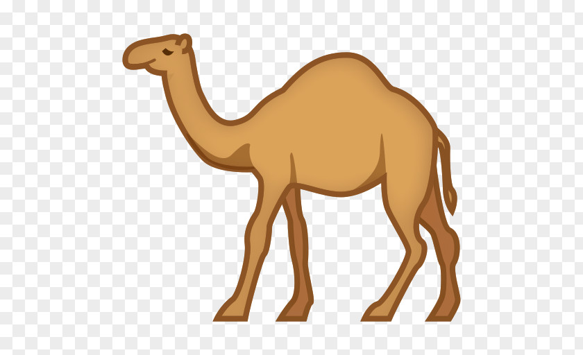 Camel Dromedary Bactrian Horse Emoji Animal PNG