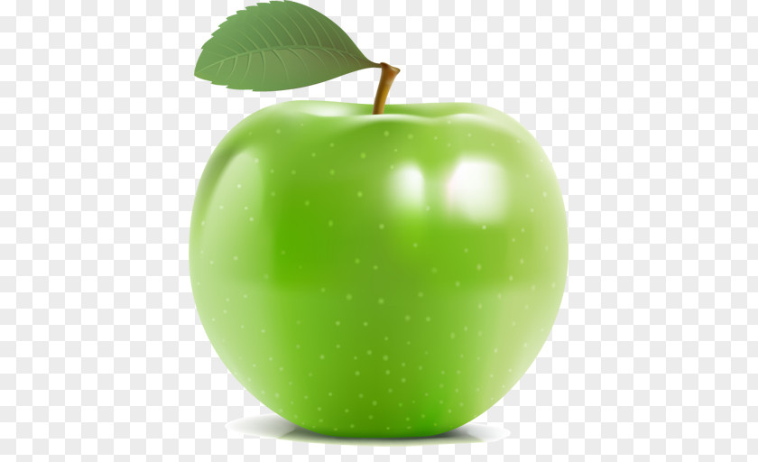 Drawing Fruit Apple Clip Art PNG