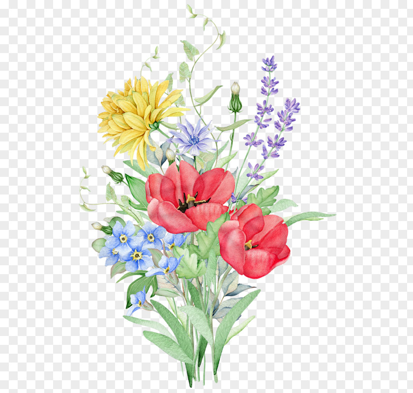 Floral Design PNG