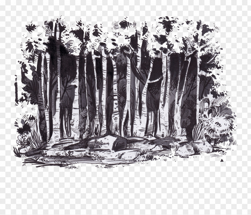 Forest T-shirt Icon PNG
