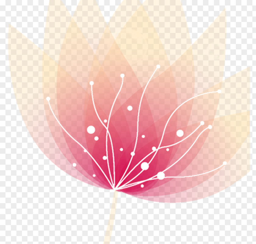 Pink Flowers Flower Desktop Wallpaper Download PNG
