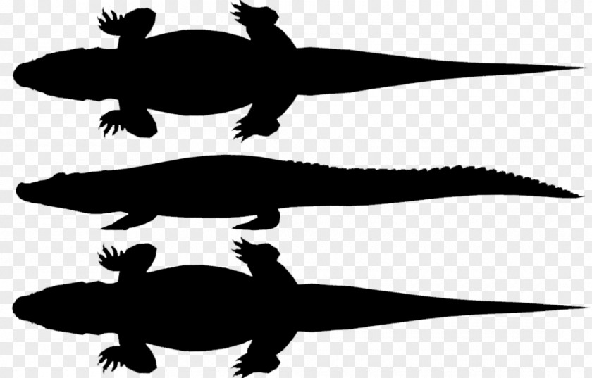 Turtle Amphibians Fauna Clip Art Silhouette PNG