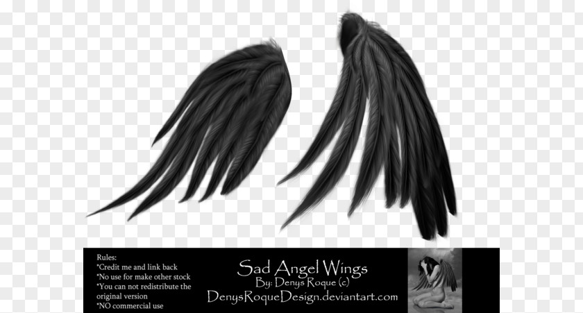 Black Angel DeviantArt And White Hair PNG