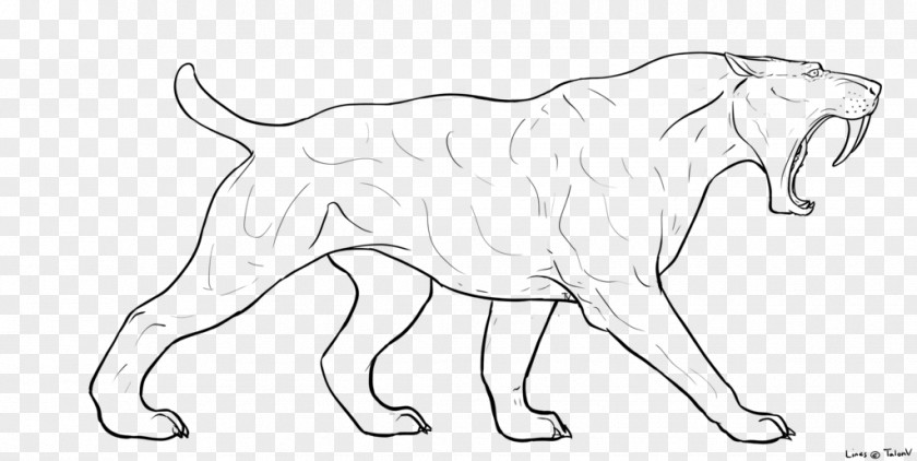Cute Cartoon Tooth Saber-toothed Cat Art Felidae Drawing PNG