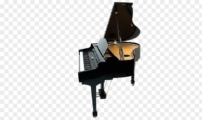 Images Included Fortepiano Musical Instruments String Player Piano PNG