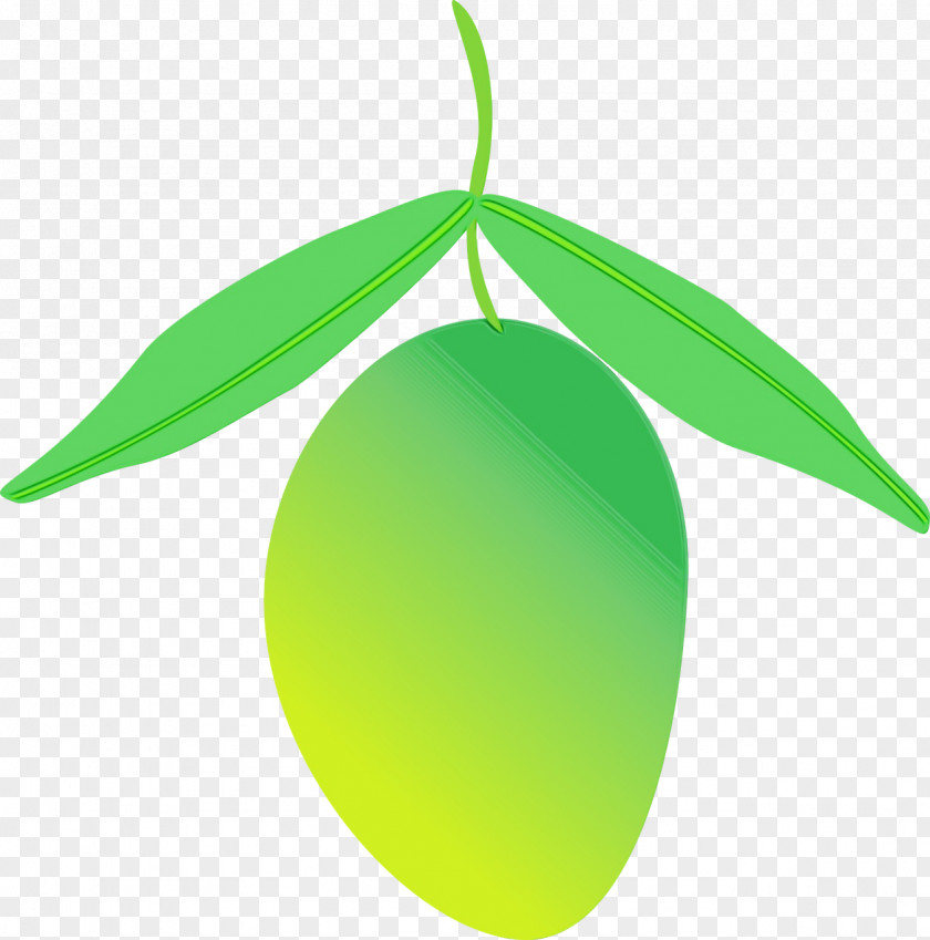 Plant Fruit Green Leaf Background PNG