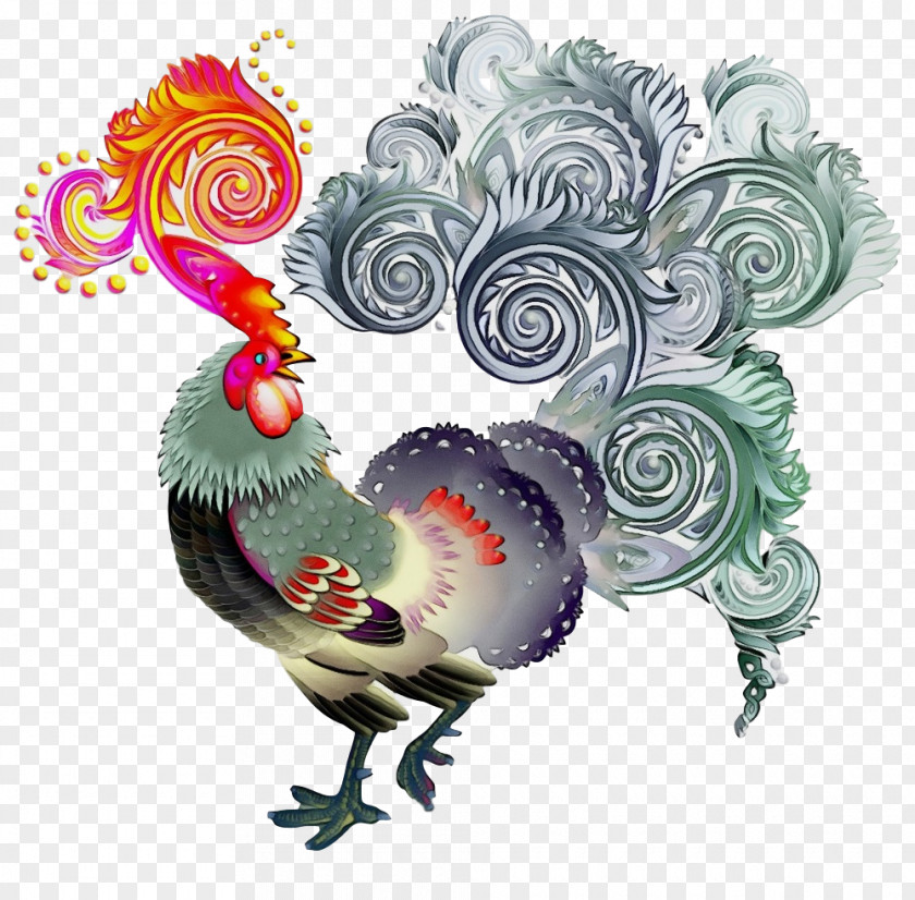 Chicken Bird Rooster Livestock Poultry PNG