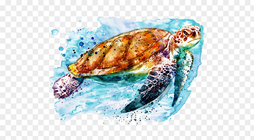 Cover Artwork Loggerhead Sea Turtle Mixed Media Art Watercolor Painting PNG