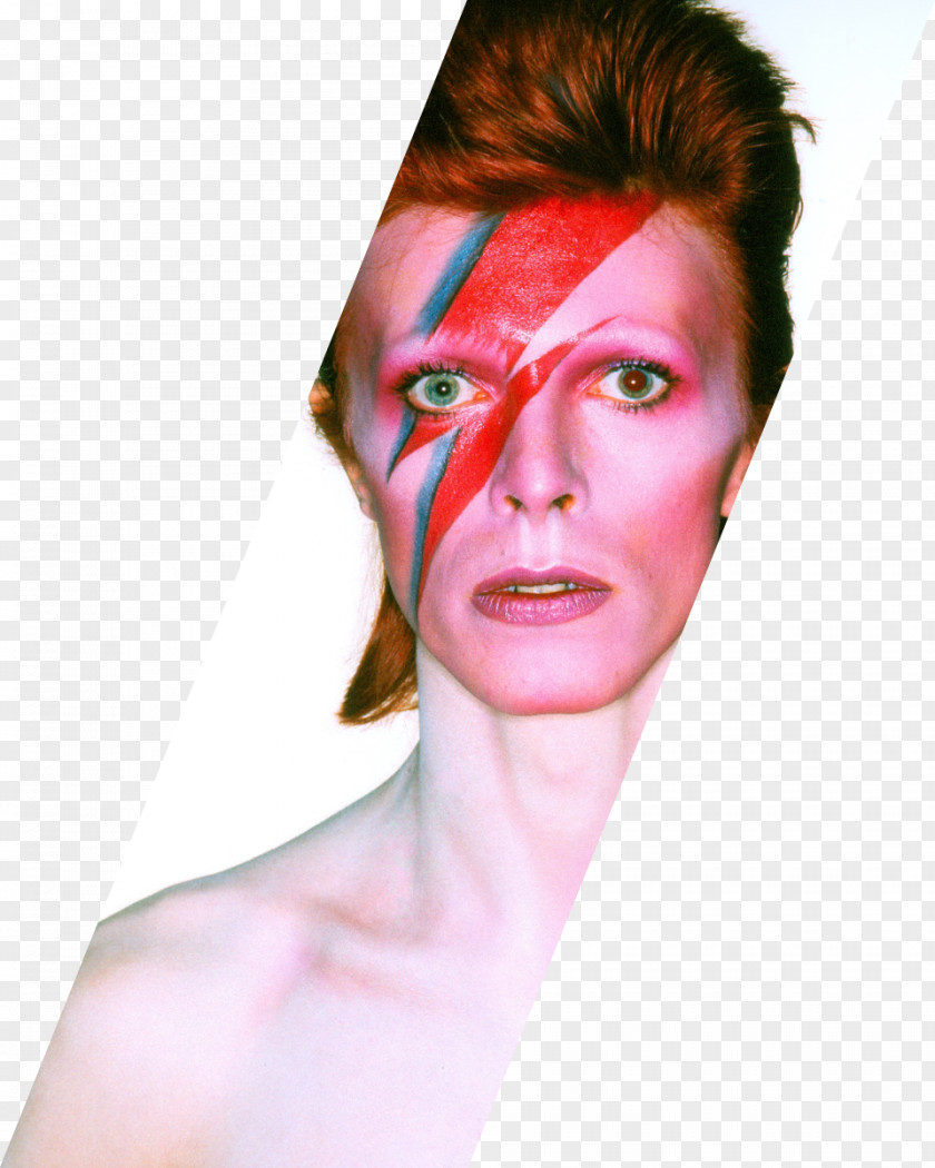 David Bowie Is Brooklyn Museum Death Of PNG