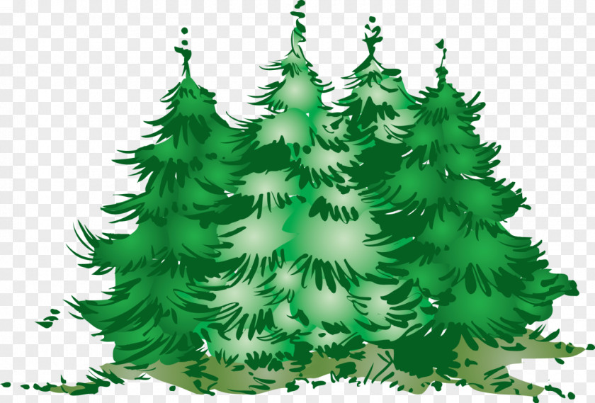 Fir Tree Decimal New Year Clip Art PNG
