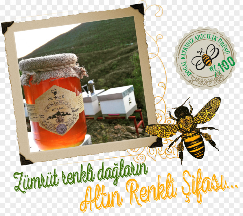 Honey Bee Beekeeping Food PNG