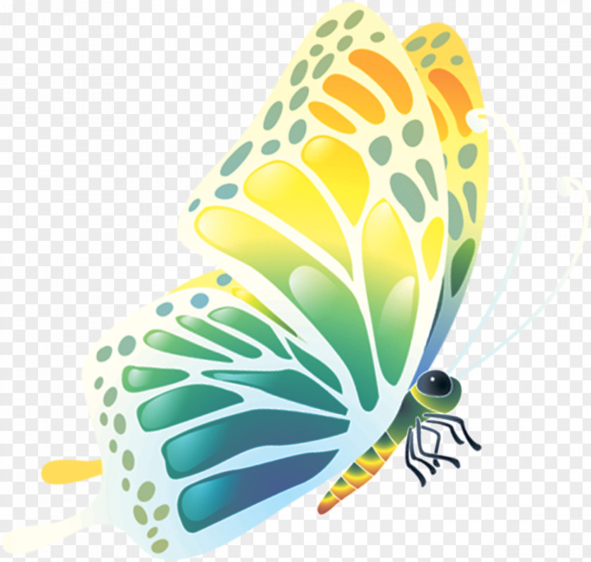 Latest Edition WallpaperButterflies Float Desktop Wallpaper Android Match Pairs Kids Memory Game PNG