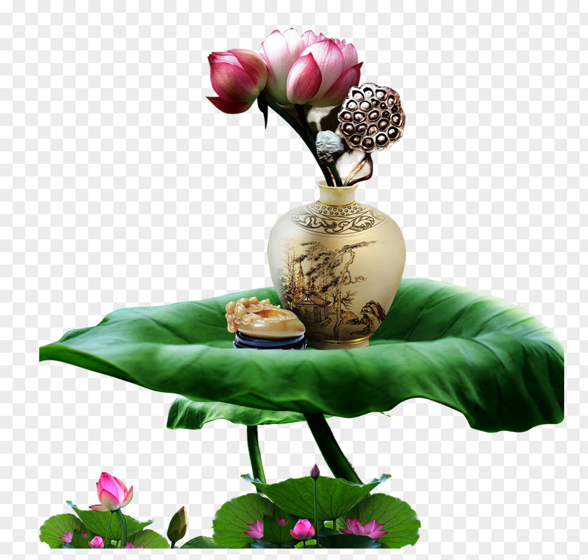 Lotus Leaf Vase Download Nelumbo Nucifera PNG