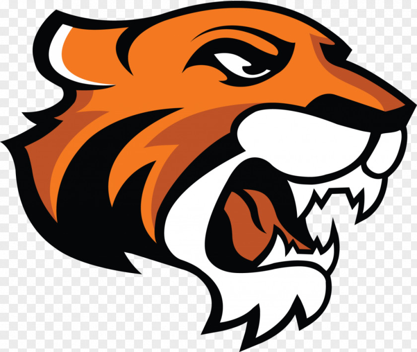 NFL Doane University Tigers Men's Basketball Football Northwestern College Great Plains Athletic Conference PNG