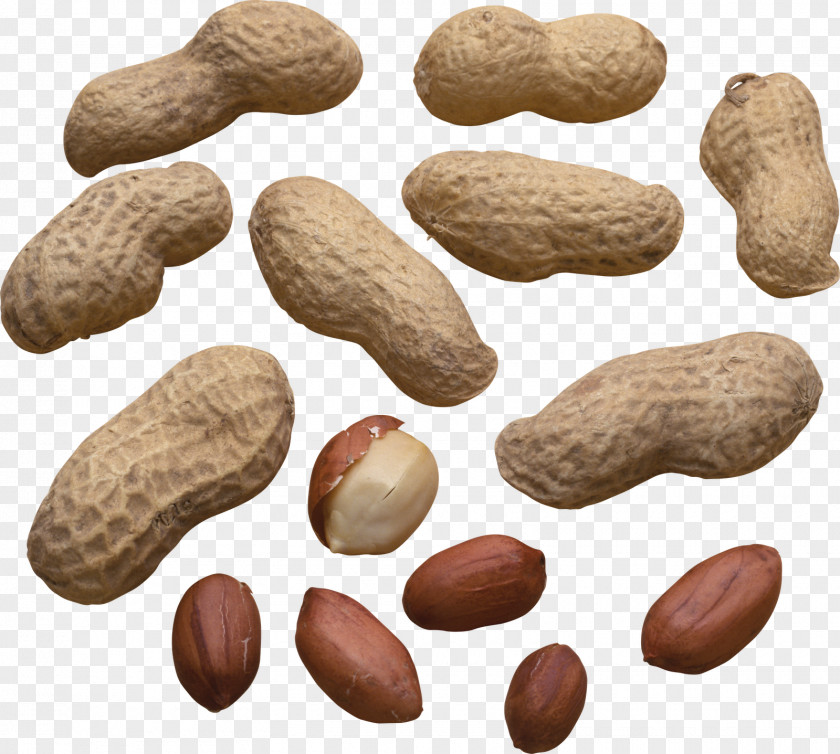 Peanut Production In China Food PNG