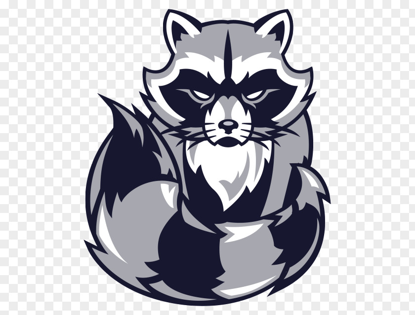 Raccoon Frisco High School Wakeland Centennial Liberty PNG