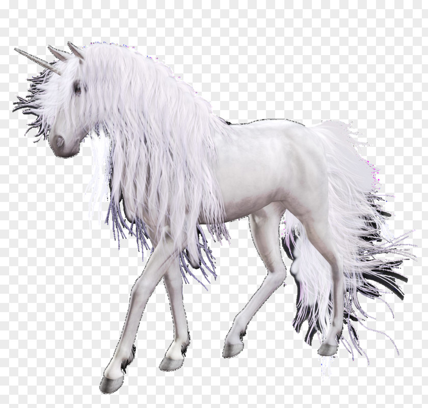 Stallion Mare Unicorn Cartoon PNG