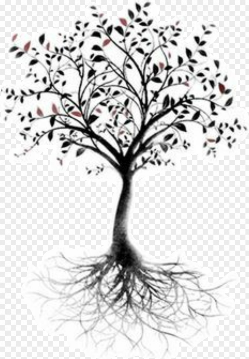Tree Of Life Root Tattoo Branch PNG