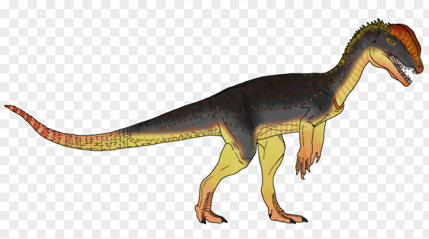 Tyrannosaurus Art Dilophosaurus Velociraptor Animal PNG