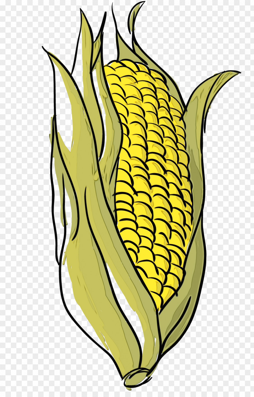 Corn On The Cob Vegetarian Food Plant Leaf PNG