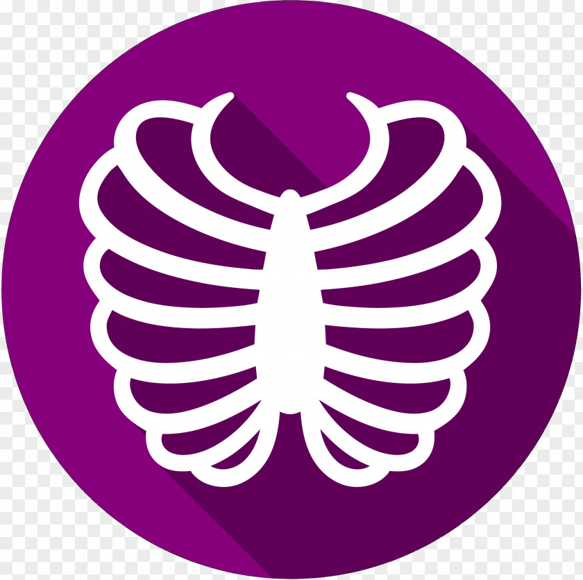 Rib Cage Vector Graphics Bone PNG