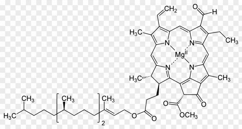 Science Chlorophyll A B Structure Photosynthesis PNG