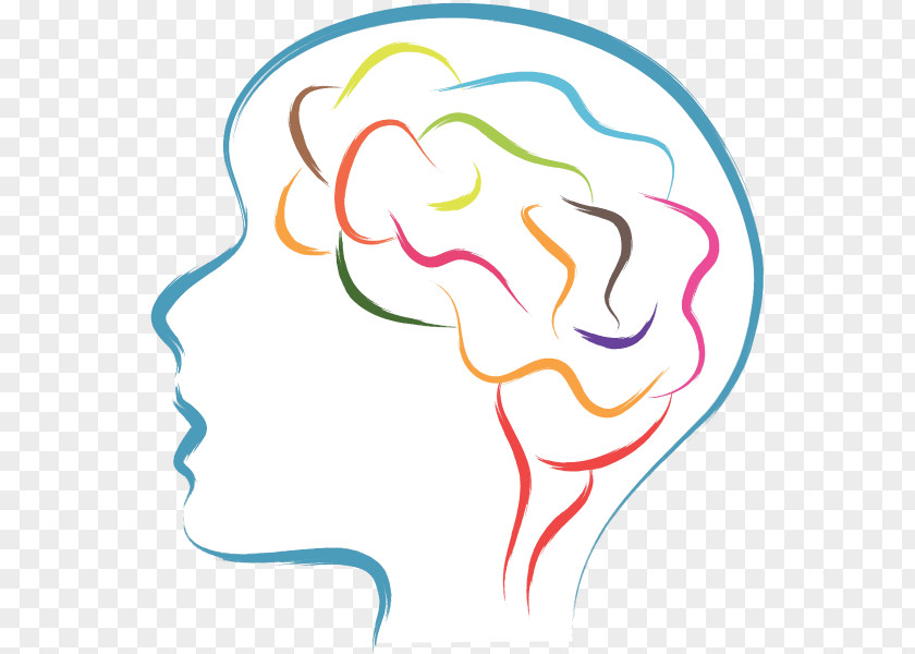 Brain The Emotional Life Of Your Human Head Clip Art PNG