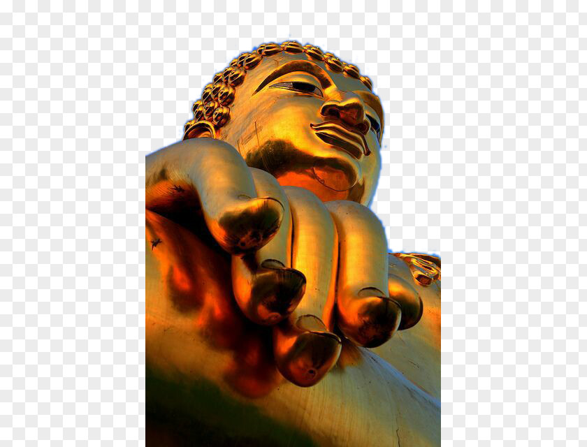 Daikin Buddha Chiang Rai, Thailand Golden Rai Buddhism Buddhahood PNG