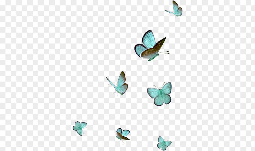 Design Turquoise PNG