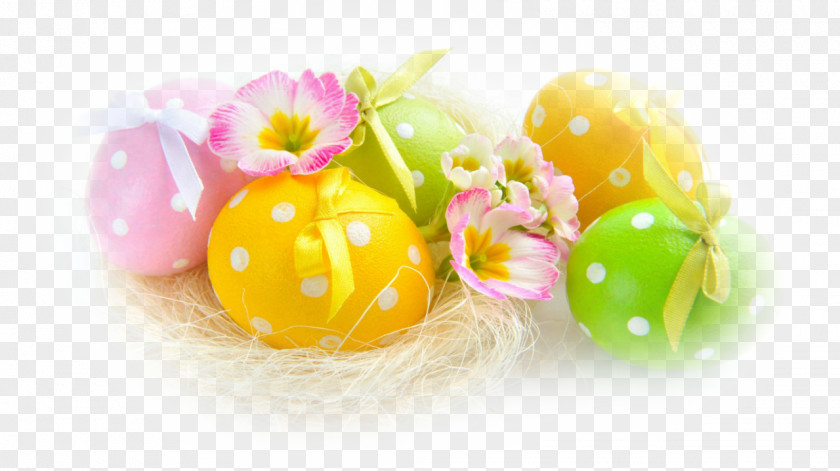 Easter Bunny Paskha Egg PNG