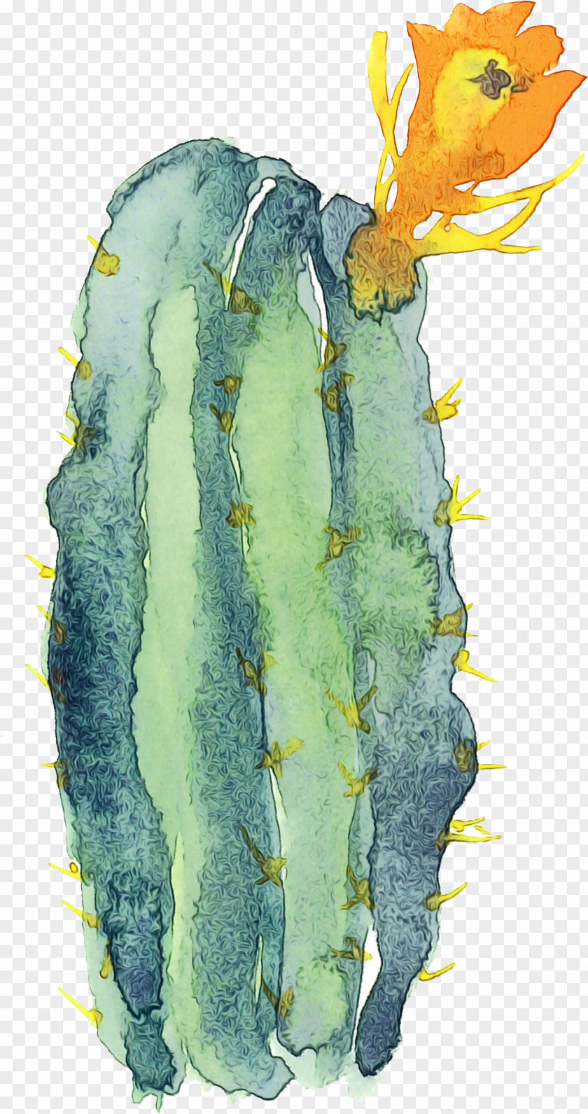 Flower Watercolor Paint Cactus PNG