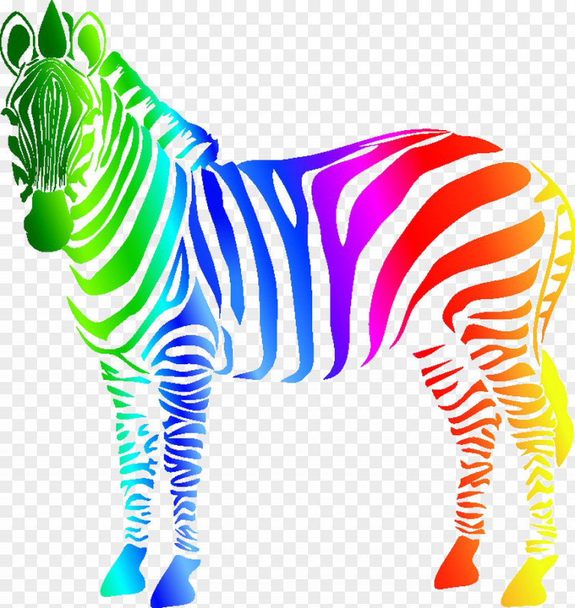 Zebra Horse Stripe Color PNG