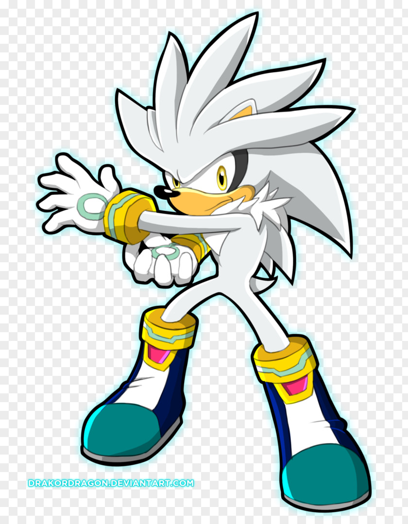 Hedgehog Tails Silver The Sonic Shadow PNG