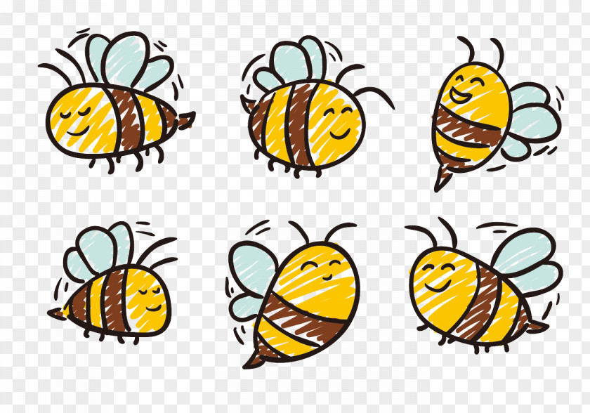 Stick Figure Bee Honey Insect Drawing PNG