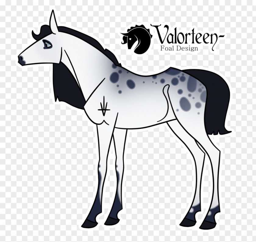 Veiled Mule Foal Stallion Mustang Mare PNG