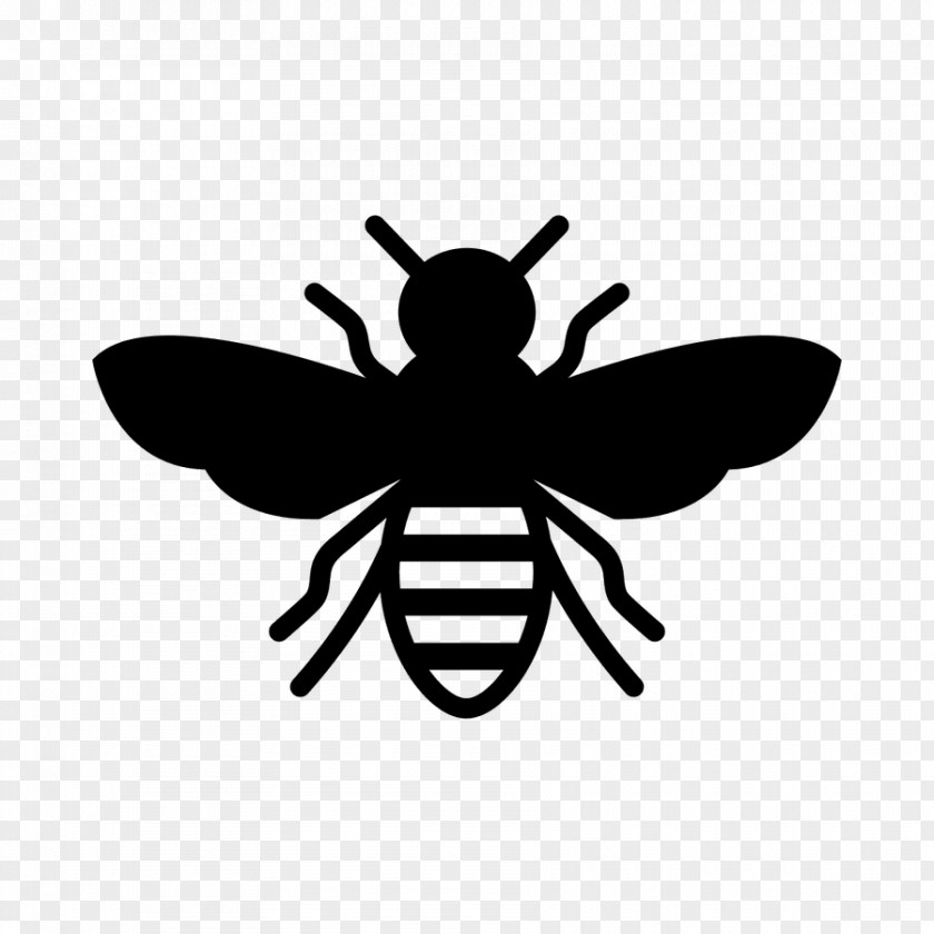 Bees European Dark Bee Insect Stencil Honey PNG