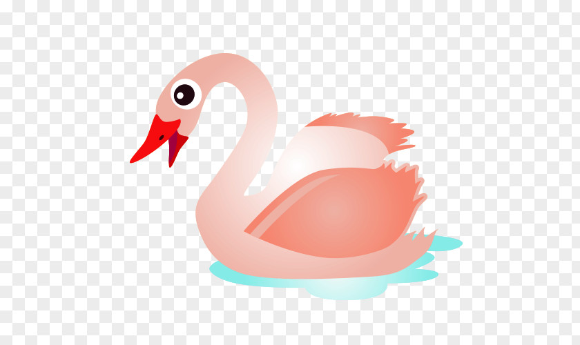 Cartoon Swan Cygnini Drawing PNG