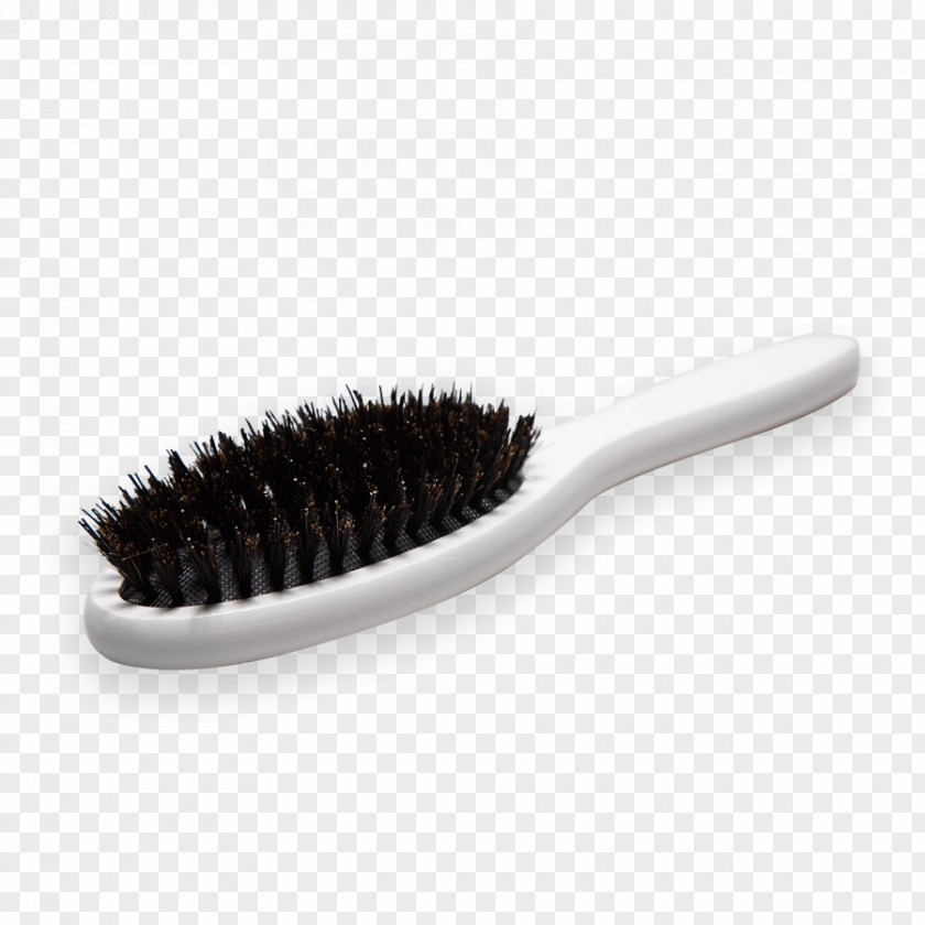 Design Brush PNG